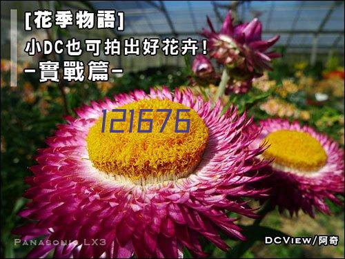 【赠1年延保】【阿里官方自营】荣耀X30i 5G手机全新智能拍照电竞游戏音乐手机6.7英寸