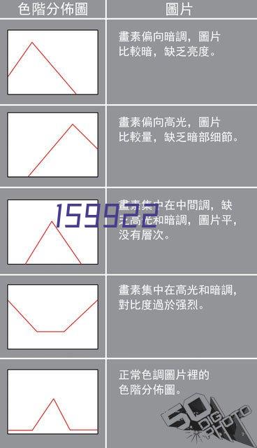 权威发布-图