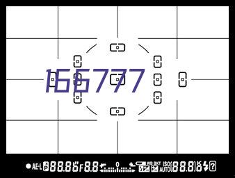 沙拉笛加logo