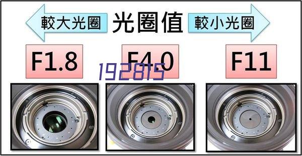 白胡椒白胡椒香料