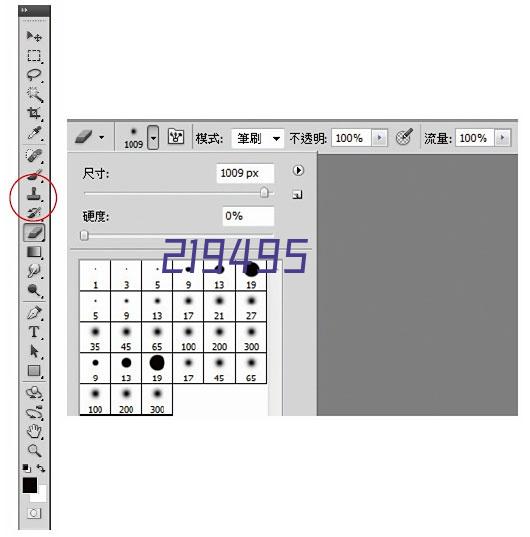 RX BMS-2 系列