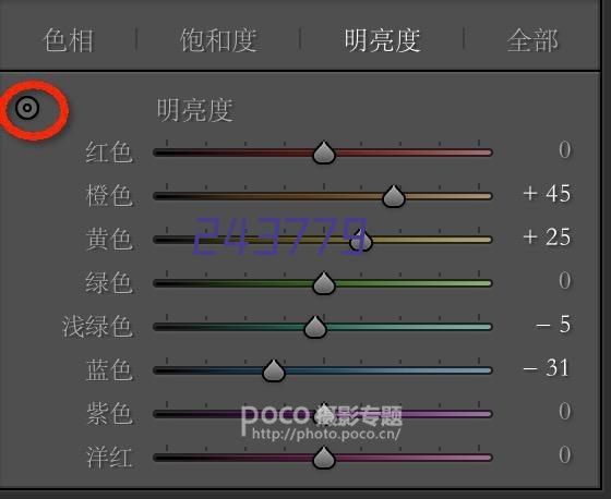 深圳集装箱房,四坡屋顶,钢围挡,电箱防护棚,钢筋加工棚,临边防护厂家可定制-深圳市琪龙建筑装饰工程有限公司