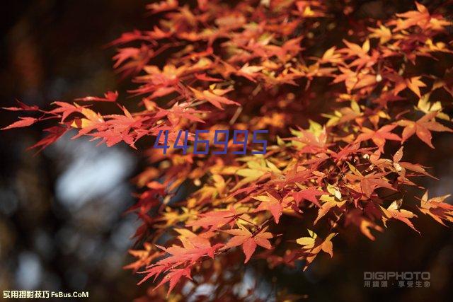 桥面花岗岩石栏杆（编号063）