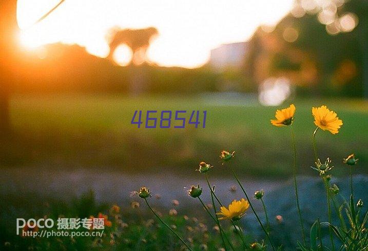 2024年福建师范大学805专业基础课（A）备考宝典