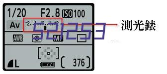 Dynamic Scale