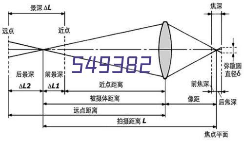 新书推荐—《弗兰基的小怪癖》