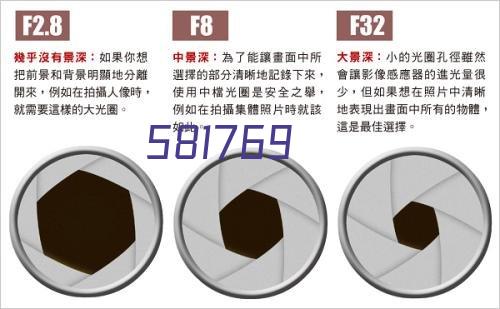 王氏雄风2021新茶叶特级安溪铁观音清香型乌龙茶浓香型礼盒装500g