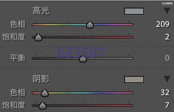 向日葵花束毕业季伴手礼送老师同学太阳礼物