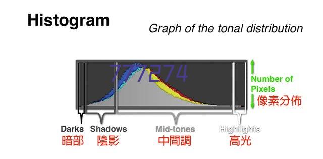 Coser去上海相亲角，叔叔阿姨们竟然……？