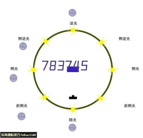 铸固 梅花转舌锁平面圆形弹子锁电箱通讯箱信箱文件抽屉柜机械锁 转舌锁25mm（通开）