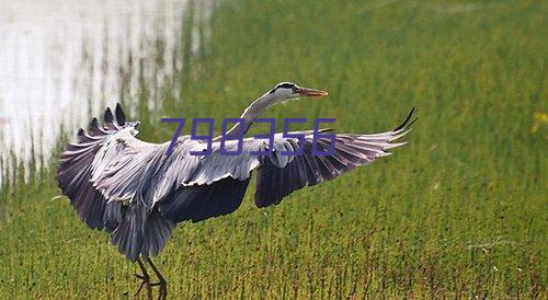 ST-ZNL-K 系列普通型抗谐波智能电容器