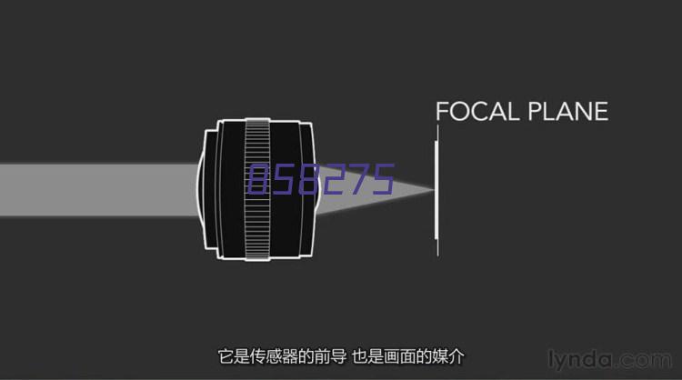 半岛·综合体育中国官网