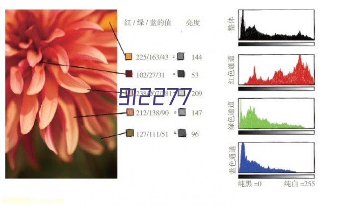 西安广场立体花坛制作各种绿雕造型设计方案