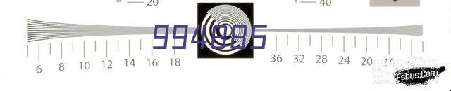 马耳他女篮logo