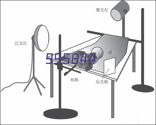 高纯度铂金蒸发皿铂金坩埚 20ml